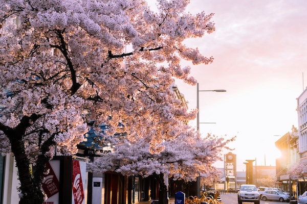 Invercargill, New Zealand