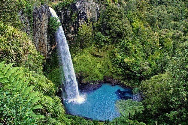 razones-para-emigrar-a-naturaleza-nueva-zelanda-theinfinitynz naturaleza razones para emigrar a Nueva Zelanda