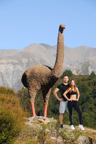 Moa-Nueva-Zelanda-theinfinitynz Moa Nueva Zelanda Theinfinitynz